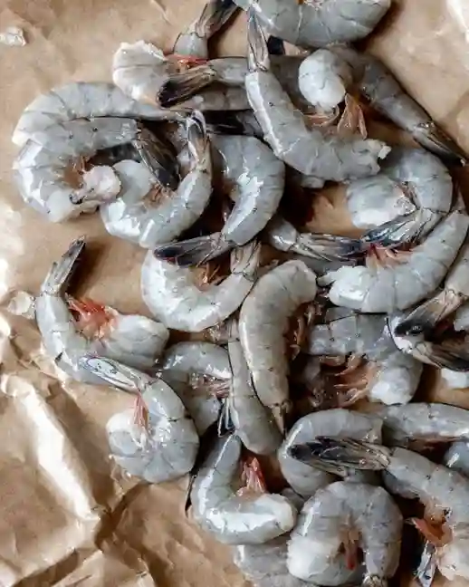 udang